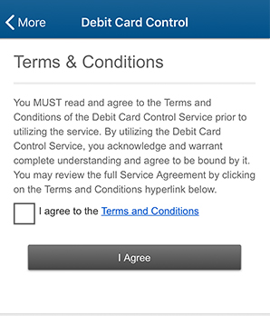 Debit Card Control App Step Two