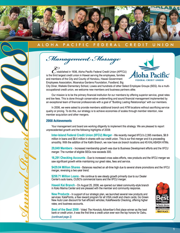 2008 Annual Report Cover